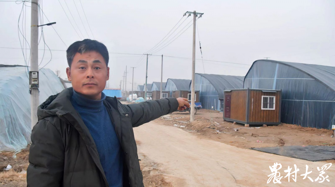 三农深度调查|内陆造"海",南美白对虾"移居"鲁西南