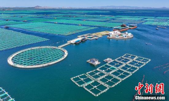 并在各大海洋牧场周边建设大型风电场,走出一条海洋经济创新绿色发展