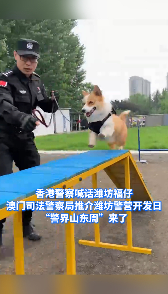 微视频|香港警察喊话潍坊福仔,澳门司法警察局推介潍坊警营开放日,"
