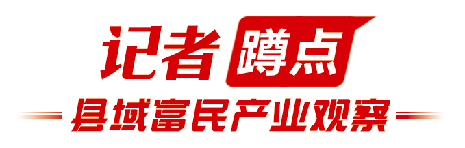 记者蹲点·县域富民产业观察｜全国灵芝报价看冠县，话语权背后 是“灵芝