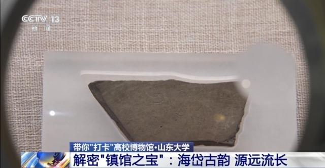 七千多年前的种子是啥样?去山东大学博物馆一探究竟