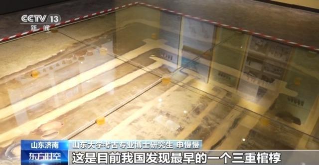 七千多年前的种子是啥样?去山东大学博物馆一探究竟