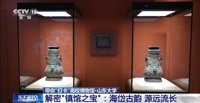 七千多年前的种子是啥样?去山东大学博物馆一探究竟