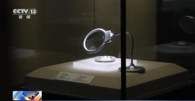 七千多年前的种子是啥样?去山东大学博物馆一探究竟