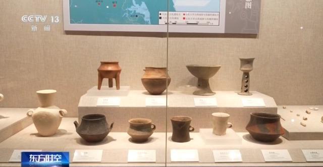 七千多年前的种子是啥样?去山东大学博物馆一探究竟