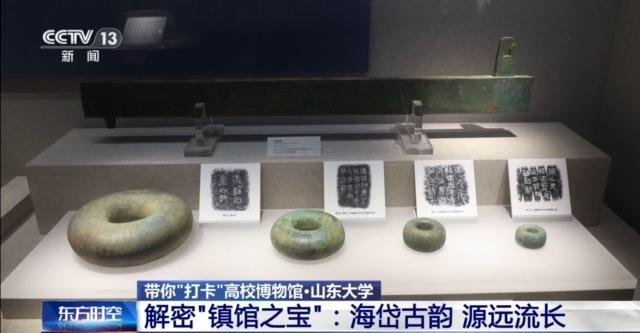 七千多年前的种子是啥样?去山东大学博物馆一探究竟