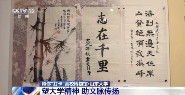 七千多年前的种子是啥样?去山东大学博物馆一探究竟