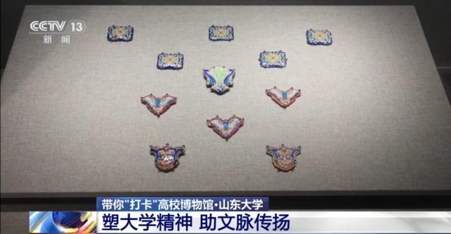 七千多年前的种子是啥样?去山东大学博物馆一探究竟