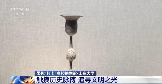 七千多年前的种子是啥样?去山东大学博物馆一探究竟