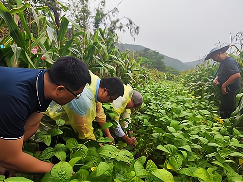 南至海南，北到河北，山东这粒种子成我国种植范围最广大豆品种