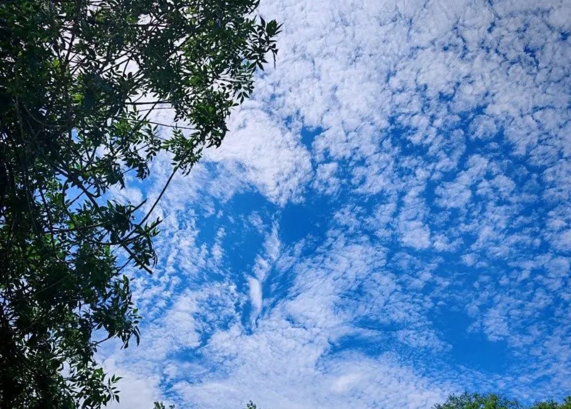 山东多地大到暴雨，大风降温来袭，最低气温降至6℃左右