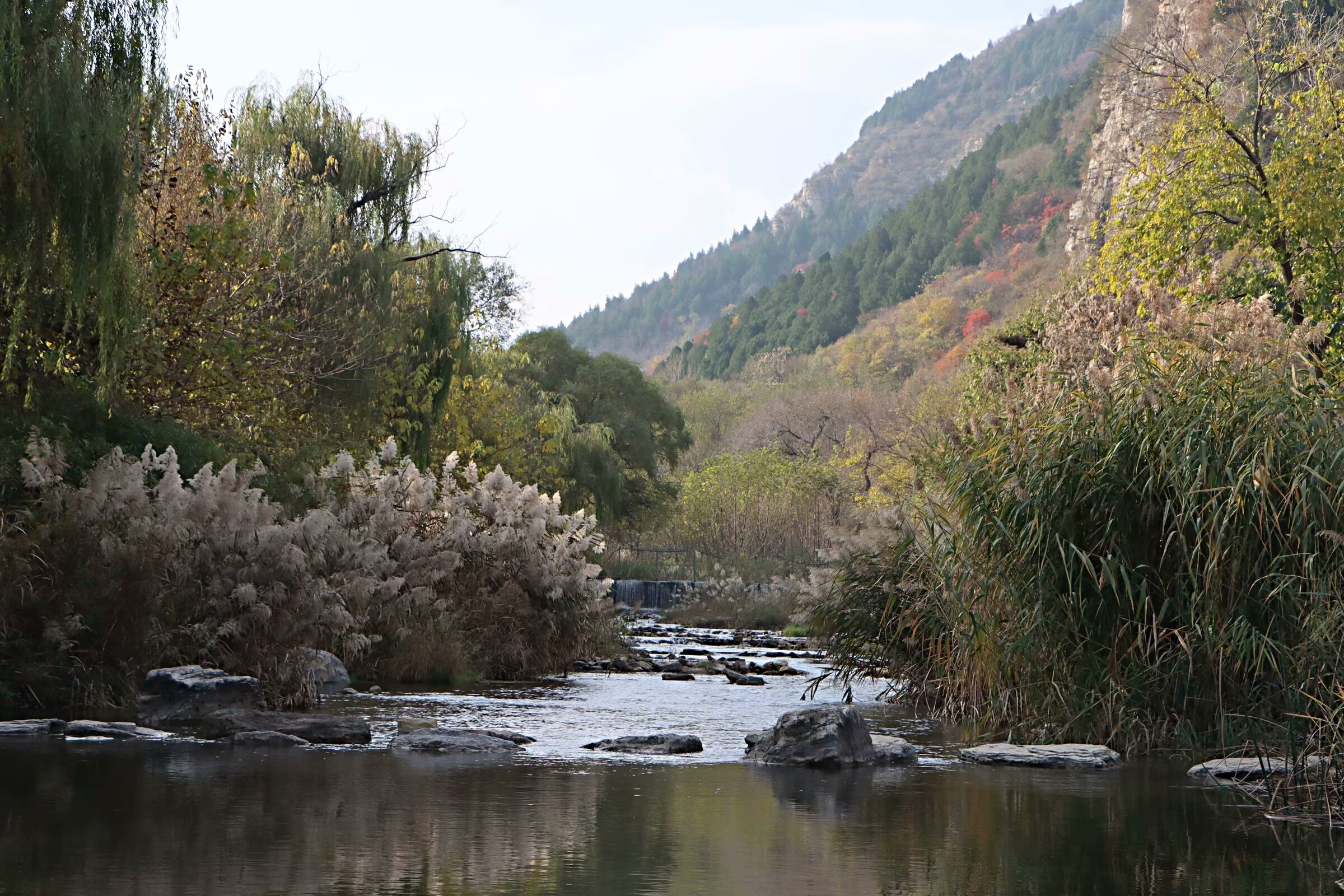 济南藏龙涧：峡谷深涧鬼斧神工 危崖生树景色奇崛