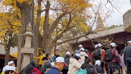 继《黑神话·悟空》取景地爆火后，这里再度火出圈