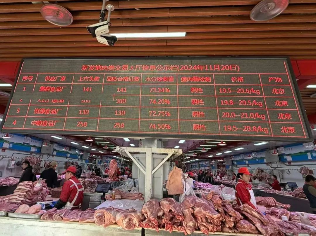 降！降！猪价坐“滑梯”！养殖户还能盈利吗？猪价反弹有望吗？