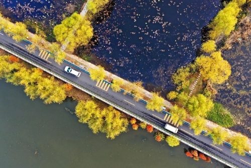 山东荣获多项全国第一!2024年度国家公路网技术状况监测结果公布