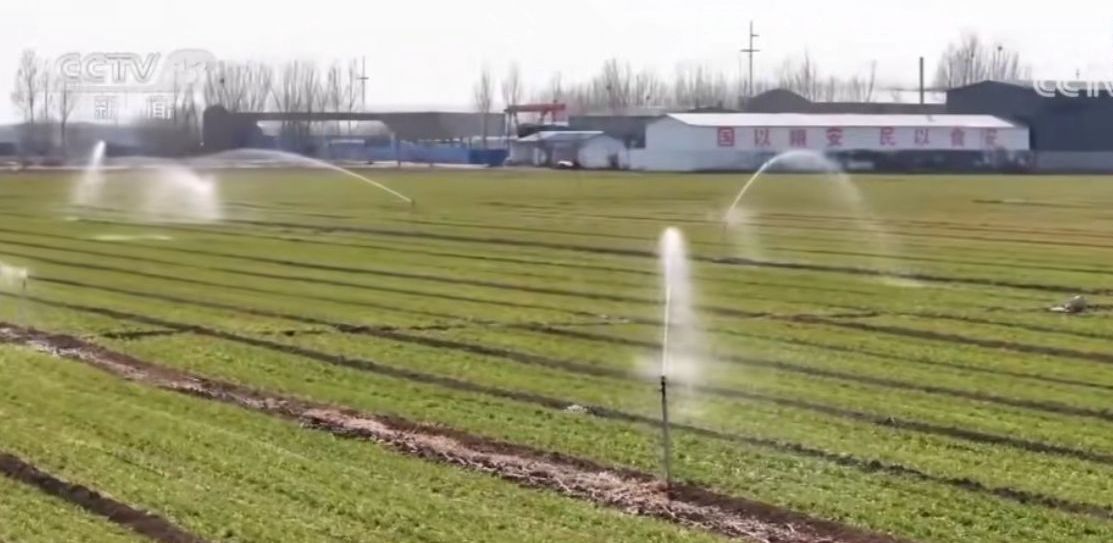 央视点赞了！兖州区智能喷灌设备助力30余万亩冬小麦“喝上”返青水