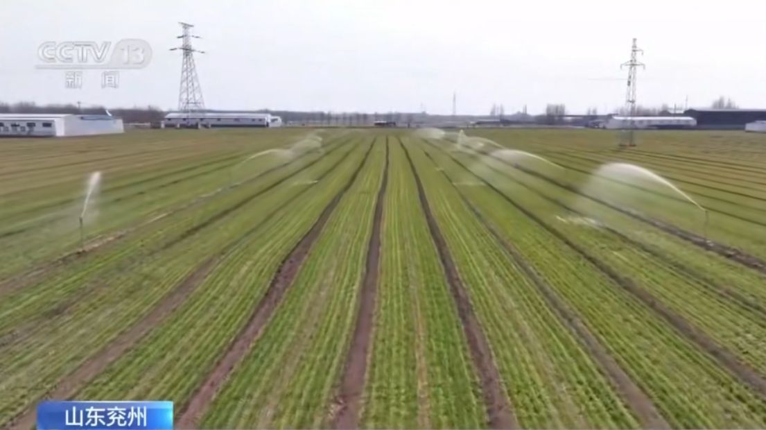 央视点赞了！兖州区智能喷灌设备助力30余万亩冬小麦“喝上”返青水