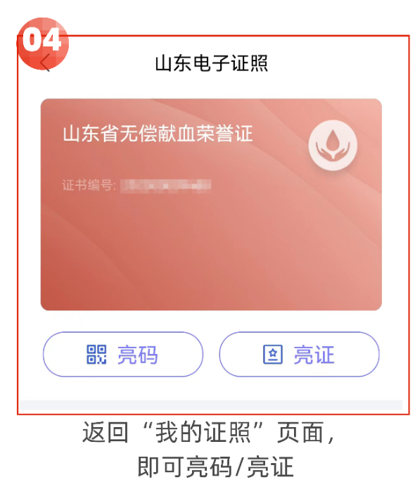 一证通全省,青岛市无偿献血荣誉卡升级官方攻略来啦-半岛网