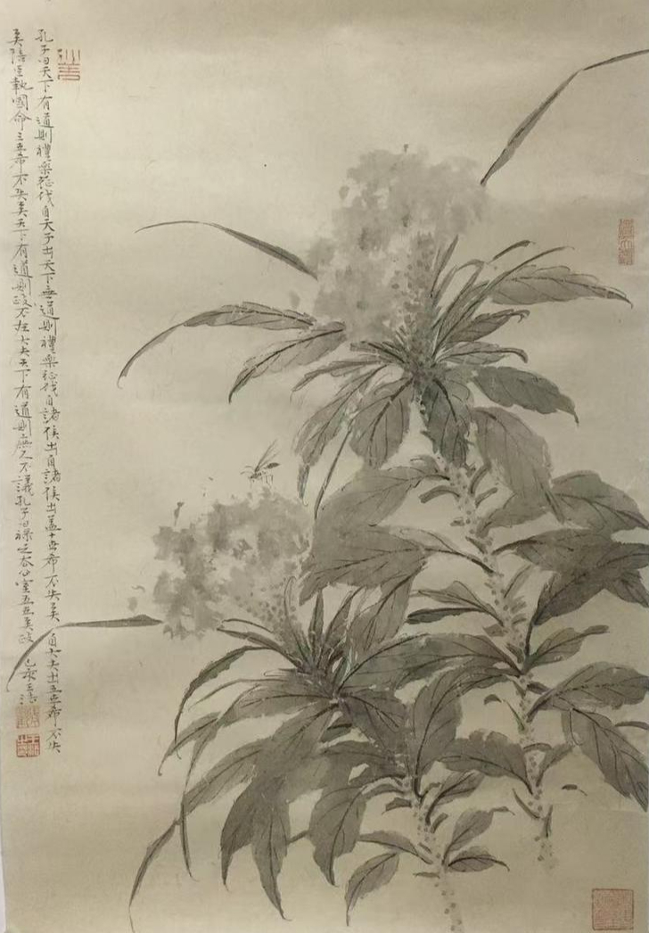 王法小尺幅花卉画展现生命灵动