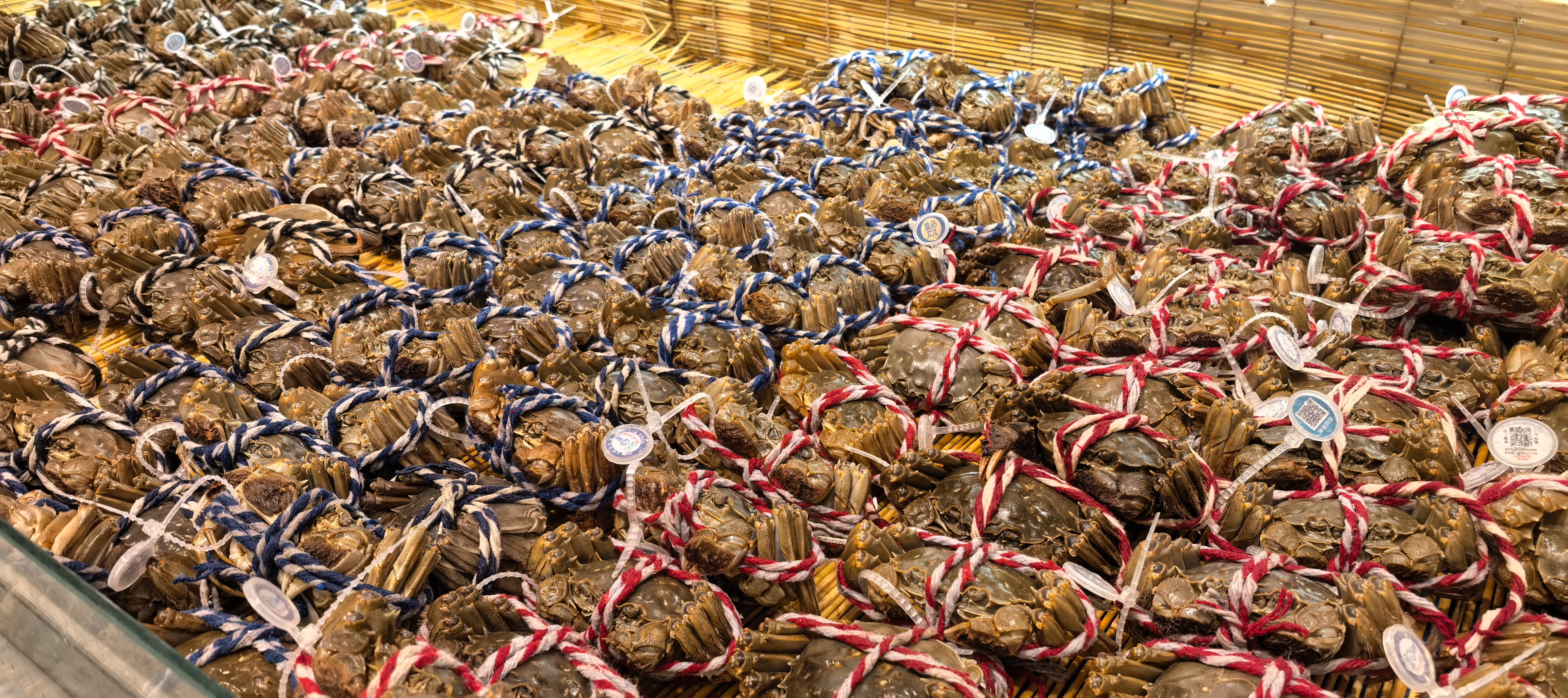 十月淄博,螃蟹“群雄逐鹿”,线上线下抢鲜战!