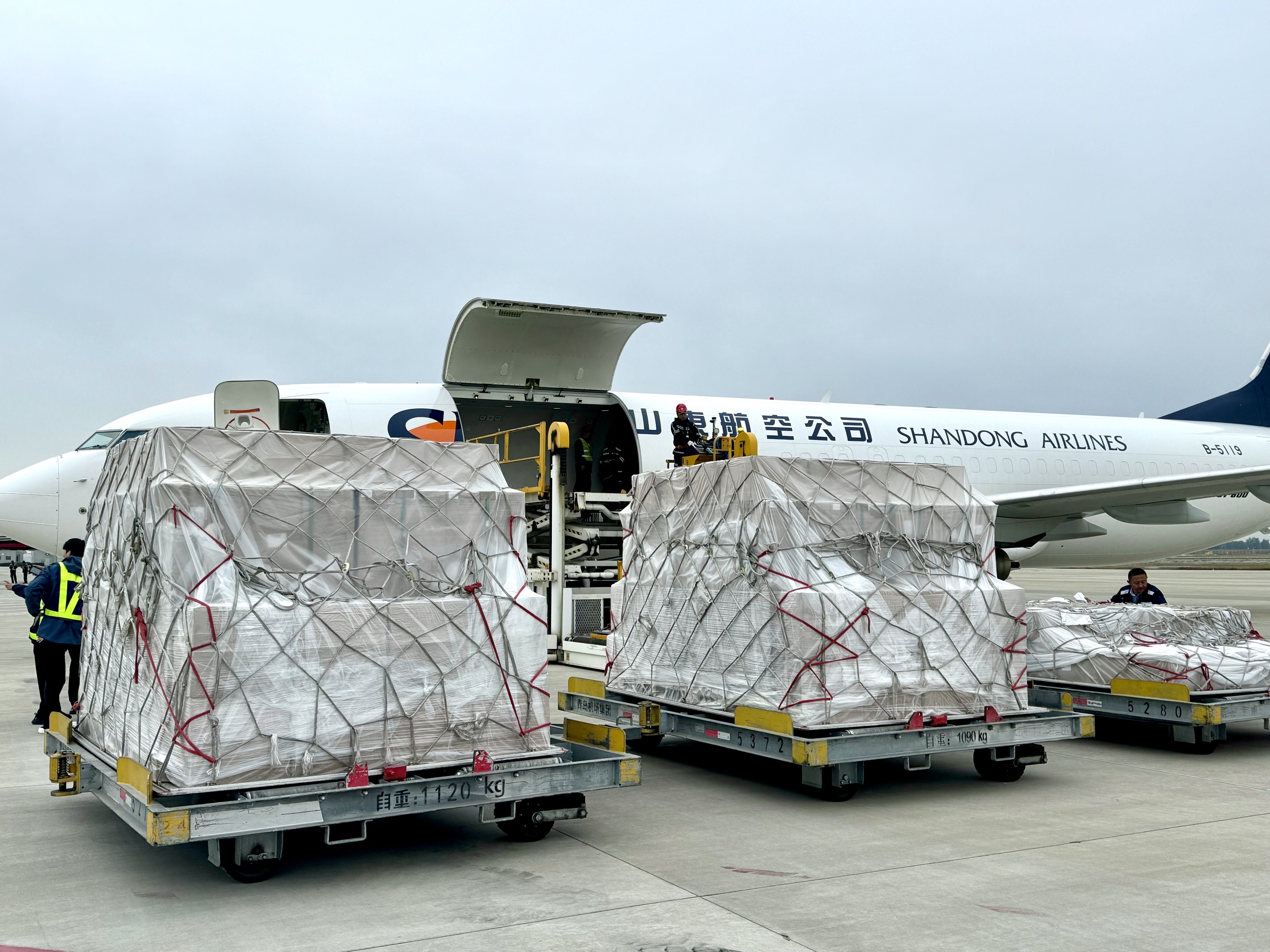 每周两班，青岛机场新开青岛-东南亚货运航线