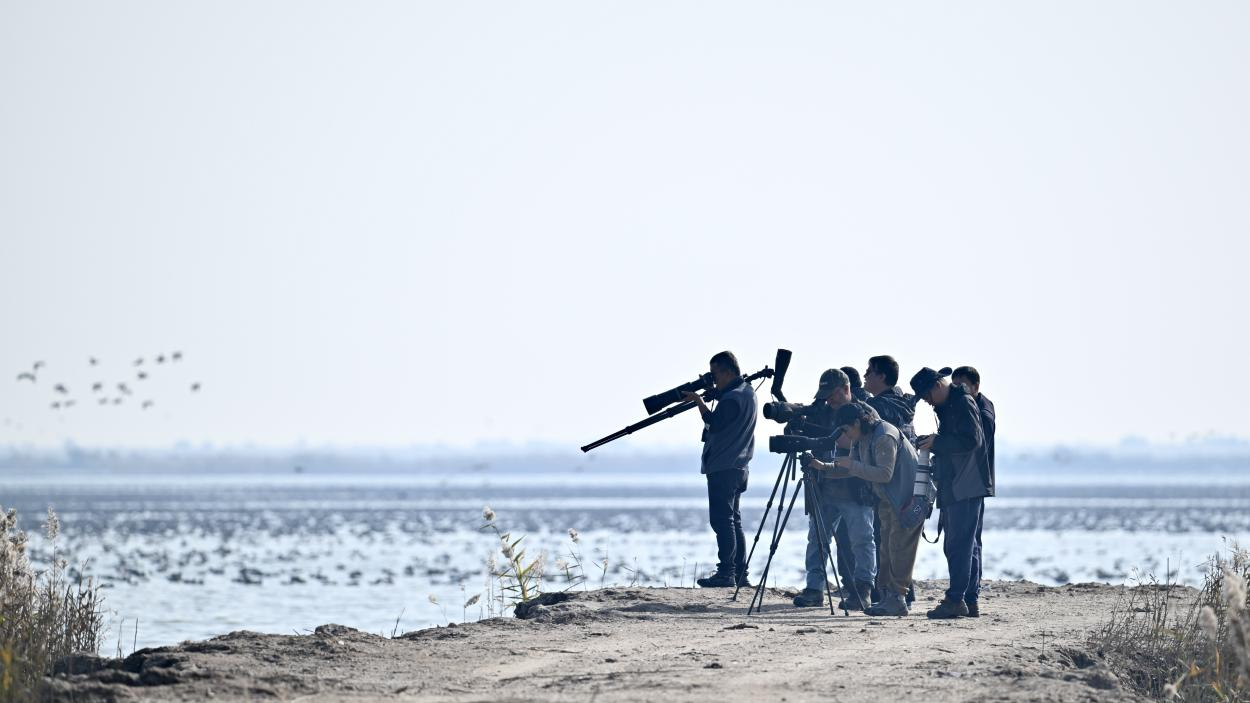 新发现鸟类2种：第三届黄河口国际观鸟季观鸟比赛圆满落幕