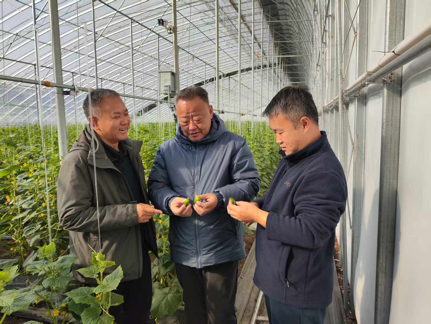 太子堂战场上跨越77年的重逢