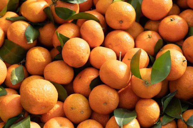 过年狂炫砂糖橘，我妈说我脸黄得像村口大黄狗 图1