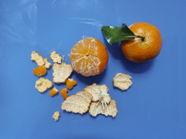 过年狂炫砂糖橘，我妈说我脸黄得像村口大黄狗 图3