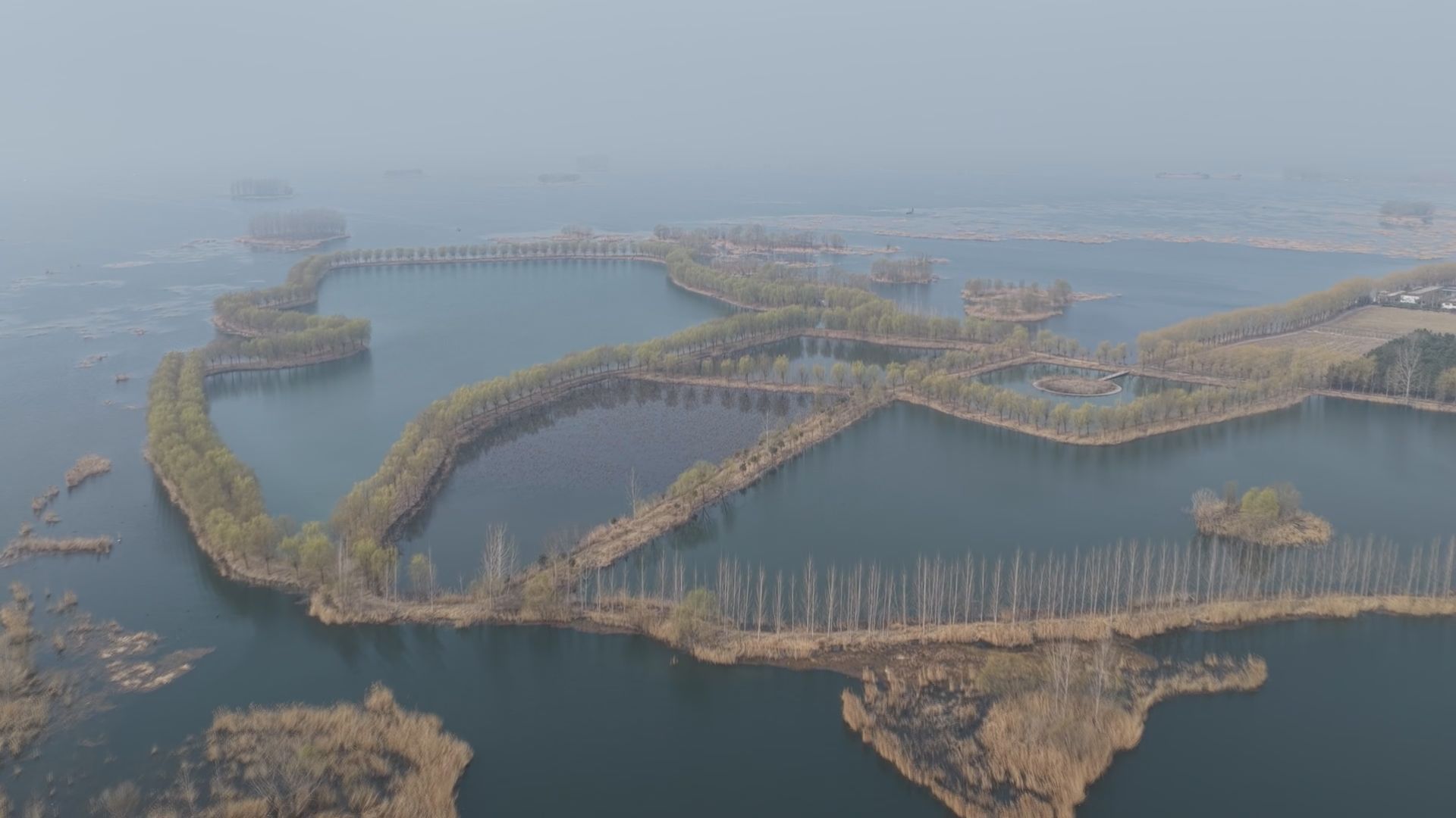 山东济宁：南四湖今日起禁渔 为期百日守护生态