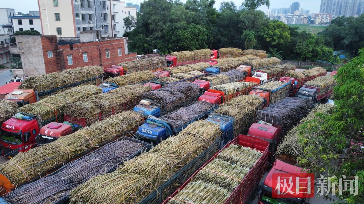 排队进厂的货车.jpg