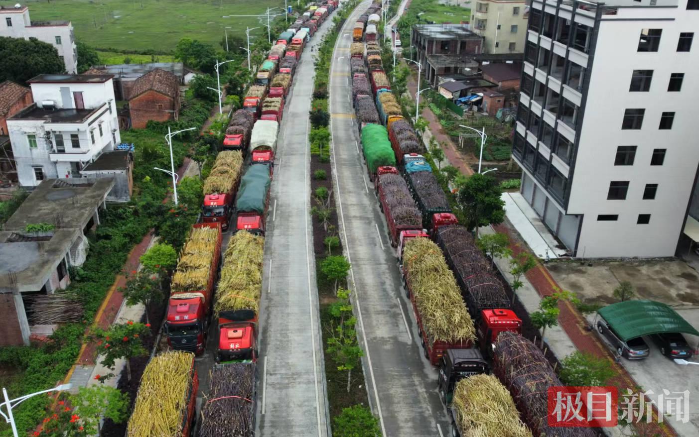 满载果蔗的货车.jpg