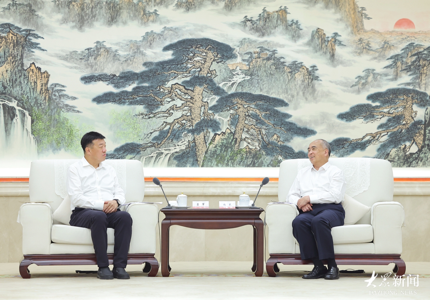 林武会见中国大唐集团客人
