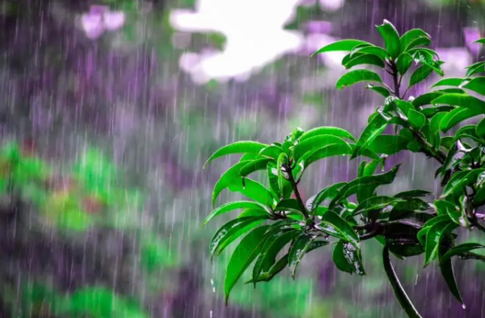 山东人请关注：未来7天三轮雷阵雨上线 局