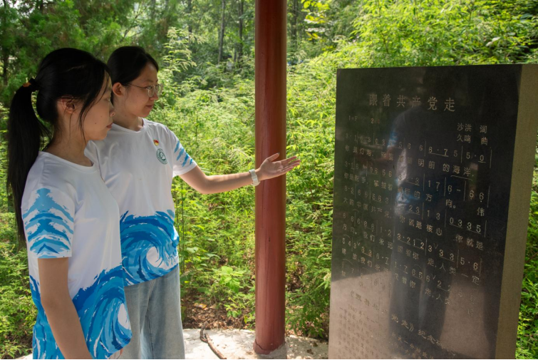 图片加载失败