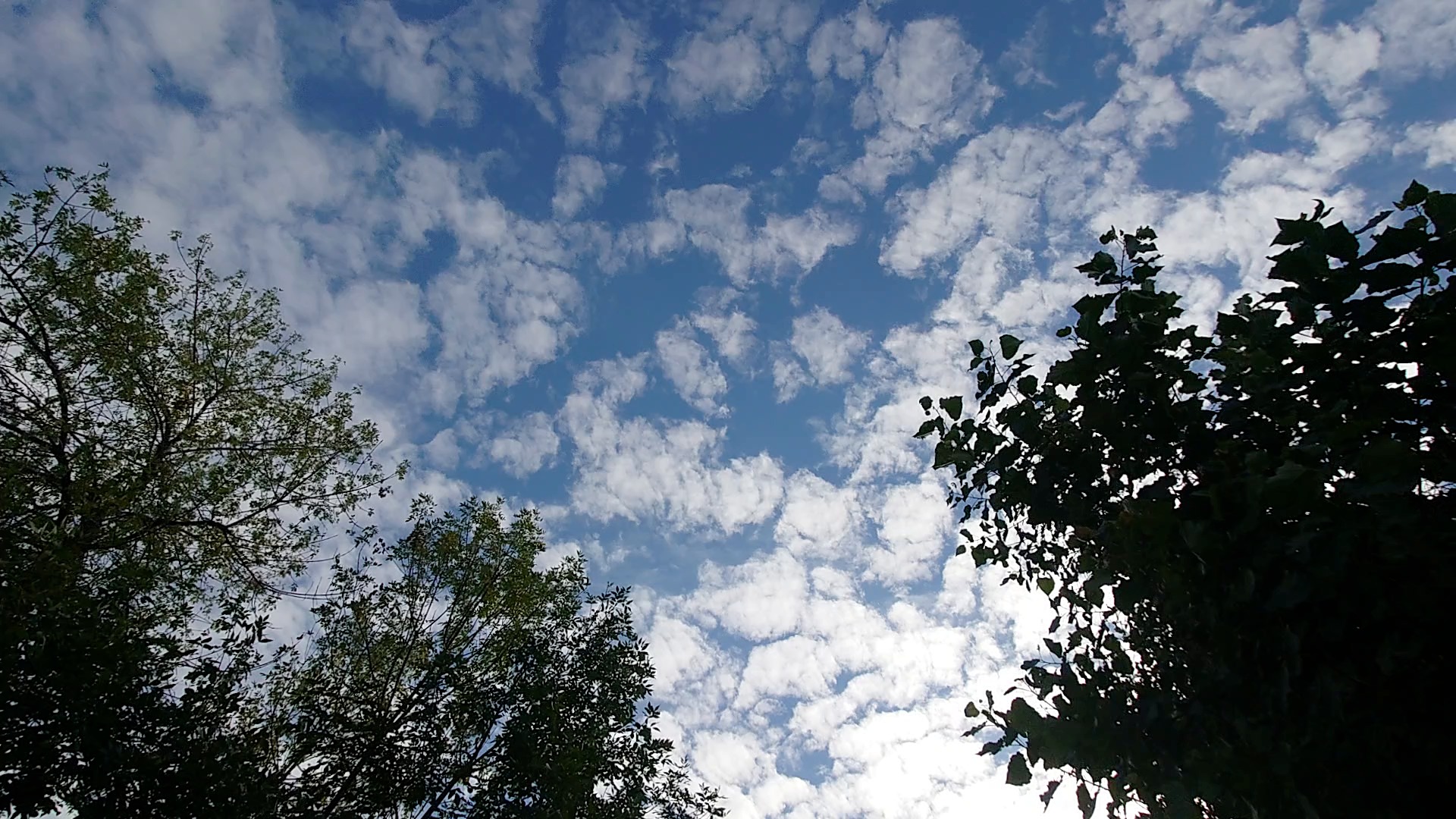 摩根娱乐 1789528779.29uqhd2bgwp4