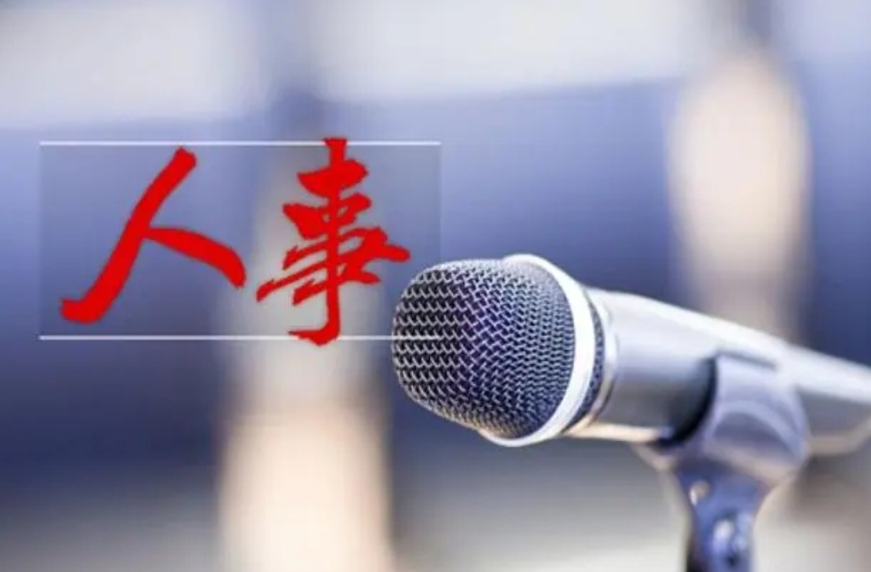 王陆进任河南省代省长