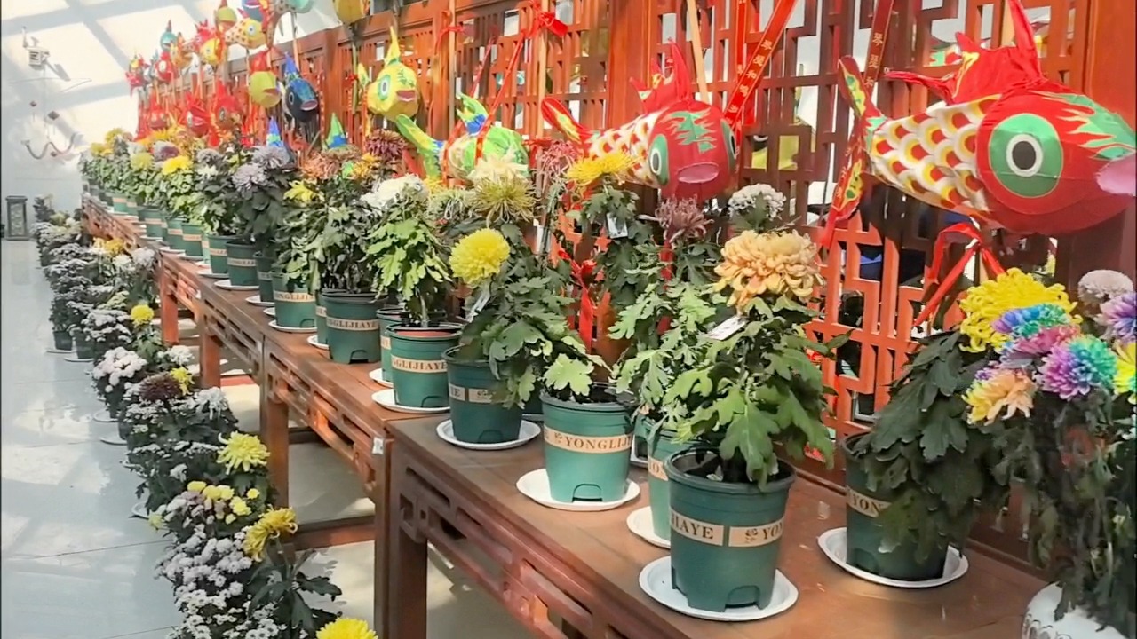 沐鸣2娱乐 1790937515.565qojybfuqfl